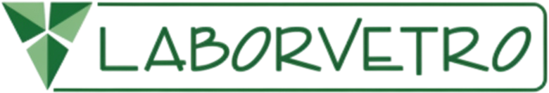 logo-laborvetro
